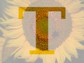 letter t of the alphabet made with a sunflower