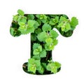 The letter T of the English alphabet from the leaves of green plants