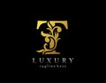 Letter T Luxury Logo Icon, Luxury Gold Flourishes Ornament Monogram Design Vector