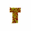 Letter T made of brown woolen balls, isolated on white, 3d renderi