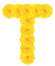 Letter T made from dandelions Royalty Free Stock Photo