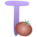 Letter T and tomato on a white background, training card. English vocabulary and alphabet, vector for children