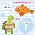 Letter T tracing. Turtle. Tasseled Scorpionfish. Marine alphabet Royalty Free Stock Photo