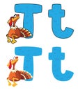 Letter T turkey