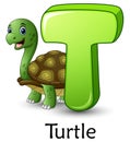 Letter T is for Turtle cartoon alphabet Royalty Free Stock Photo