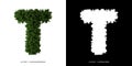 Letter T uppercase of leaves. Alphabet plants. Royalty Free Stock Photo