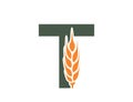letter t with wheat ear. creative harvest and organic food alphabet logo. cereal farming, agriculture and grain crops