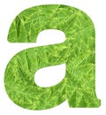 Letter a with texture of fern leaves, font Helvetica Word