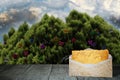 Letter to santa on table with christmas trees Royalty Free Stock Photo