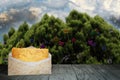 Letter to santa on table with christmas trees Royalty Free Stock Photo