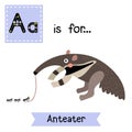 A letter tracing. Anteater.