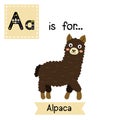 A letter tracing. Dark brown Alpaca.