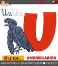 Letter U from alphabet with cartoon umbrellabird animal