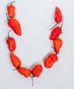 Letter U alphabet made with Ghost pepper Bhoot jolokia over white background