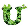 The letter U of the English alphabet from the leaves of green plants