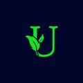 letter u leaf nature, eco green logo template vector isolated