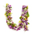 The letter ÃÂ«UÃÂ» made of various natural small flowers.