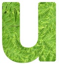 Letter u with texture of fern leaves, font Helvetica Word