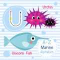 Letter U tracing. Unicorn Fish. Urchin. Marine alphabet