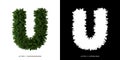 Letter U uppercase of leaves. Alphabet plants.