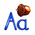 The letter A is uppercase and lowercase with the image of an acorn. Watercolor drawing, for the alphabet