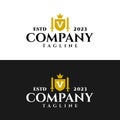 Letter V inside a shield and a sword with a classic medieval style. classic elegant logo template Royalty Free Stock Photo