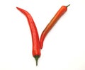 Letter V made from chili pepper, orange chilli peppers