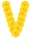 Letter V made from dandelions Royalty Free Stock Photo