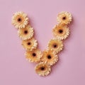 Letter V made of flowers. Part of the word LOVE , floral alphabet Royalty Free Stock Photo