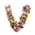 The letter ÃÂ«VÃÂ» made of various natural small flowers.