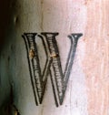 Letter W