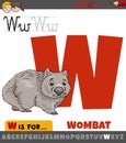 Letter W from alphabet with cartoon wombat animal character Royalty Free Stock Photo