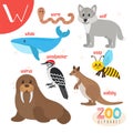 Letter W. Cute animals. Funny cartoon animals in vector. Royalty Free Stock Photo