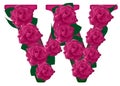 Letter W cute flower illustration