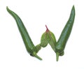 Letter W made from chili pepper, green salad lettuce leaf