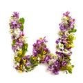 The letter ÃÂ«WÃÂ» made of various natural small flowers.