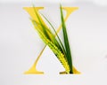 Letter X alphabet with paper craft yellow flower. ABC concept type as logo on white background