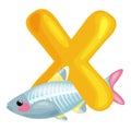 Letter X with animal x-rayfish for kids abc education in preschool. Royalty Free Stock Photo