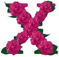 Letter X cute flower illustration