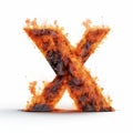 Fiery X: A Cross Processed Explosion Of Pigmented Alphabet Letter