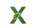 Letter x with leaf logo. Initial logo design. eco friendly and environment symbol Royalty Free Stock Photo