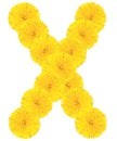 Letter X made from dandelions Royalty Free Stock Photo