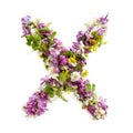 The letter ÃÂ«XÃÂ» made of various natural small flowers.