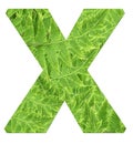 Letter x with texture of fern leaves, font Helvetica Word