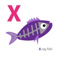 Letter X X-ray fish Zoo alphabet. English abc with animals Education cards for kids White background Flat design