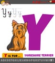 Letter Y from alphabet with cartoon Yorkshire terrier