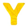 Letter Y carved from the autumn leaves