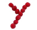 letter Y made from raspberries. isolated on white background for birthday party