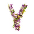 The letter ÃÂ«YÃÂ» made of various natural small flowers.