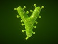 Letter Y shaped virus or bacteria cell. 3D illustration